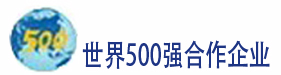 500強合作企業